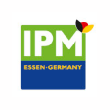 IPM ESSEN